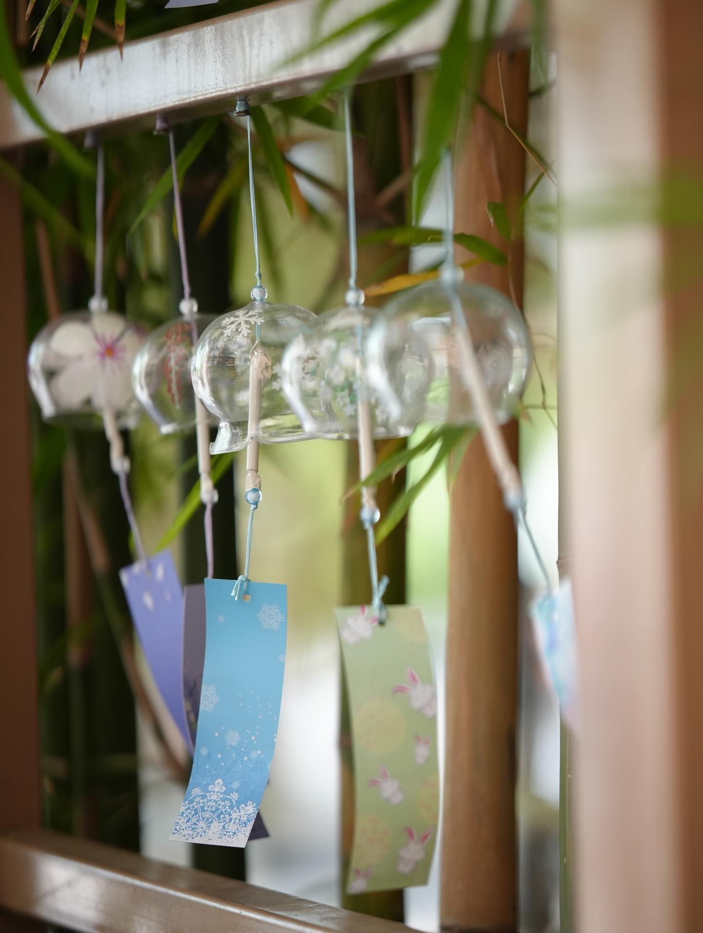 ฮาน่า ลีวิส