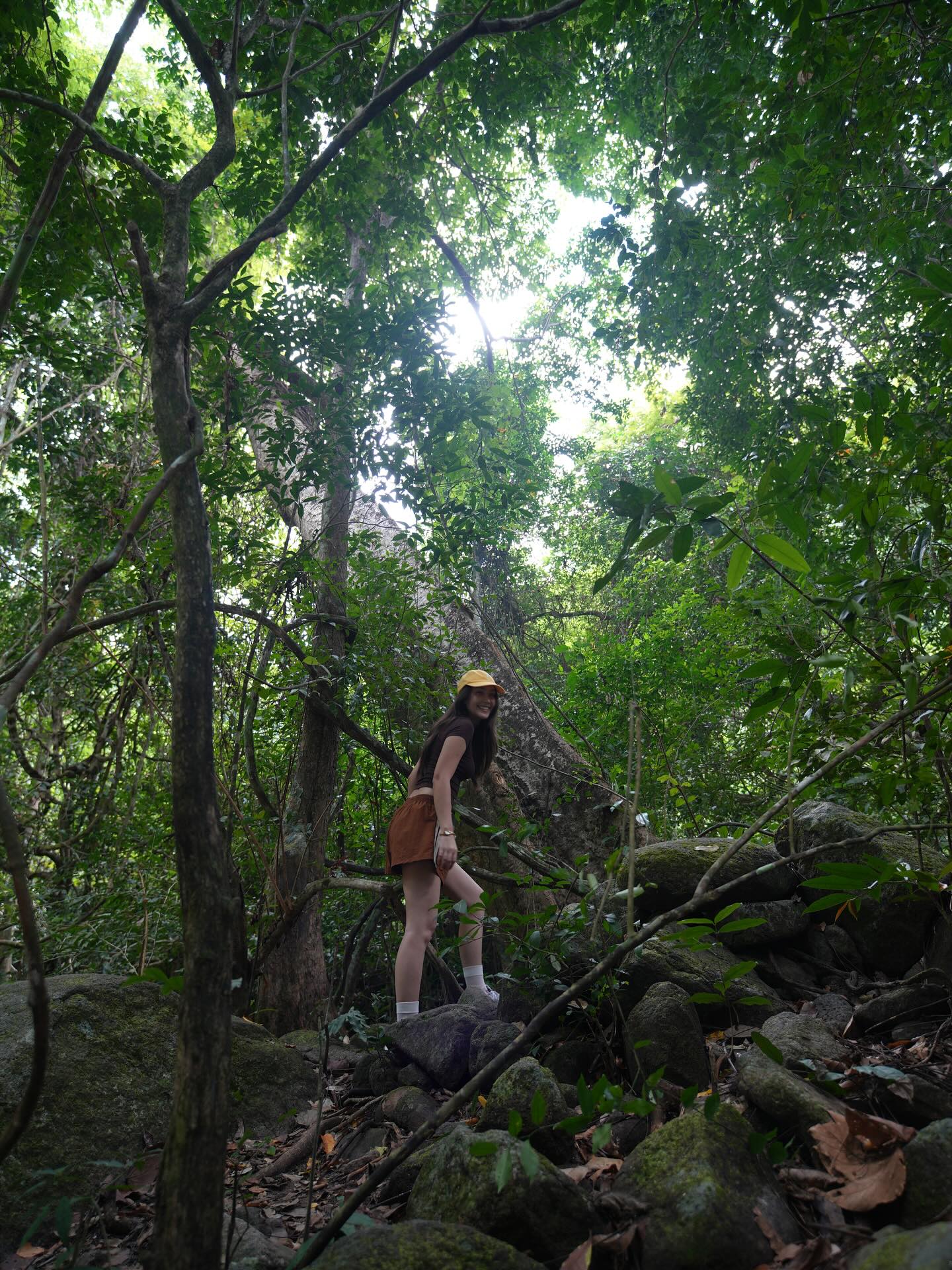 ฮาน่า ลีวิส