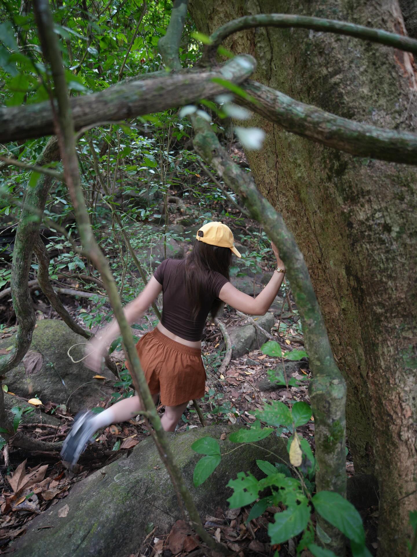 ฮาน่า ลีวิส