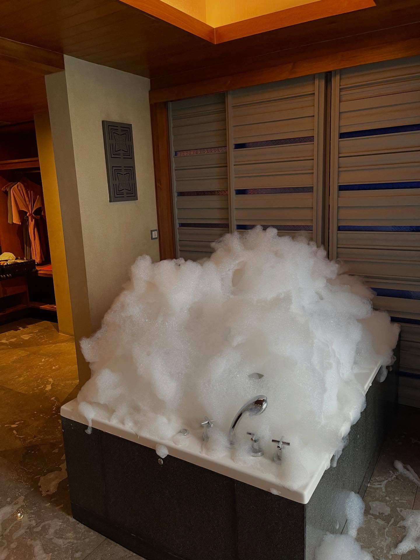 ฮาน่า ลีวิส