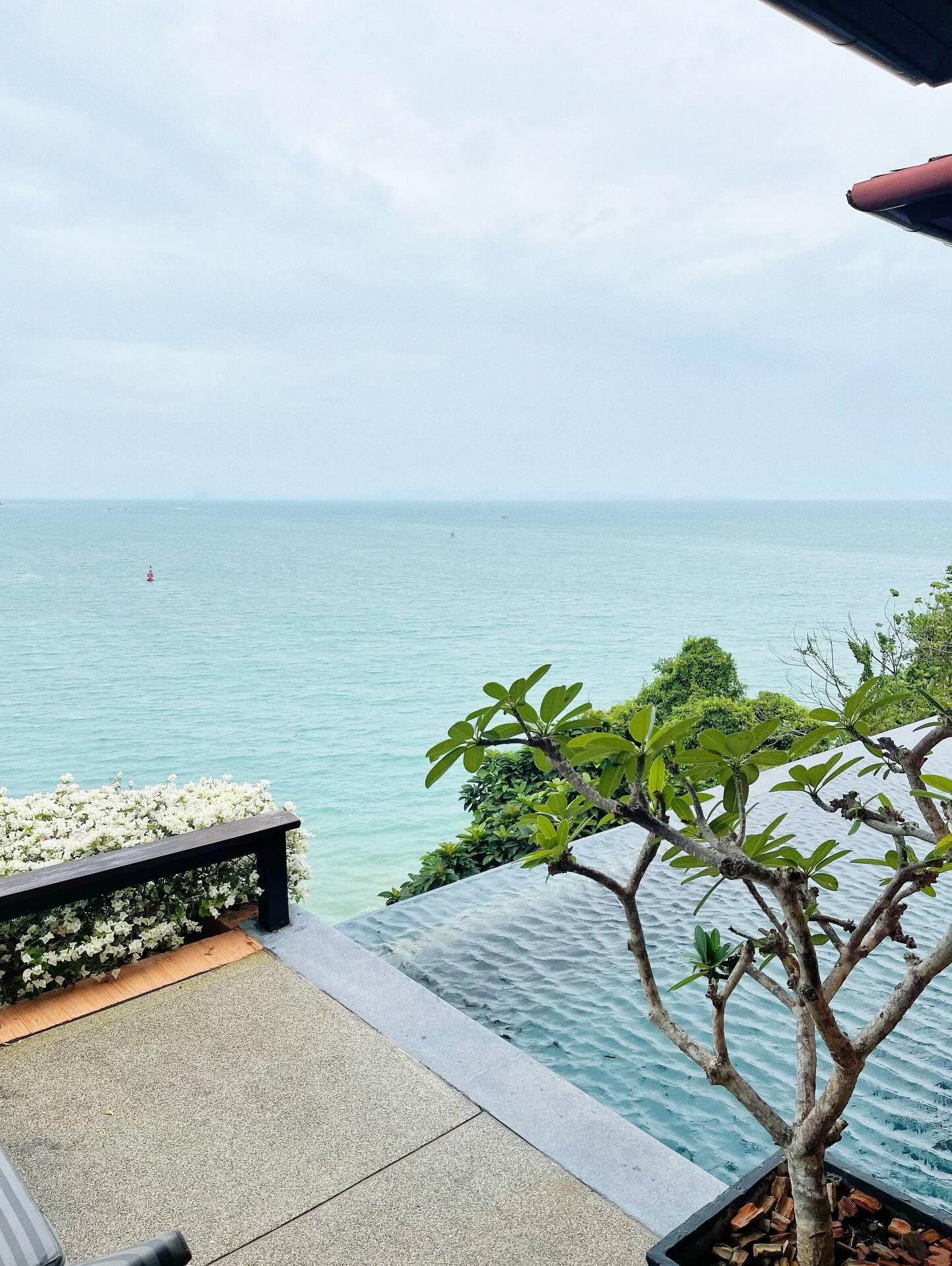 ฮาน่า ลีวิส