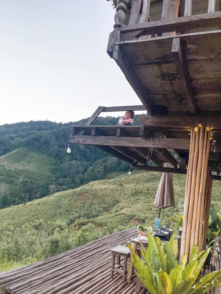 ฮาน่า ลีวิส