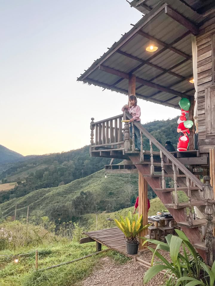 ฮาน่า ลีวิส