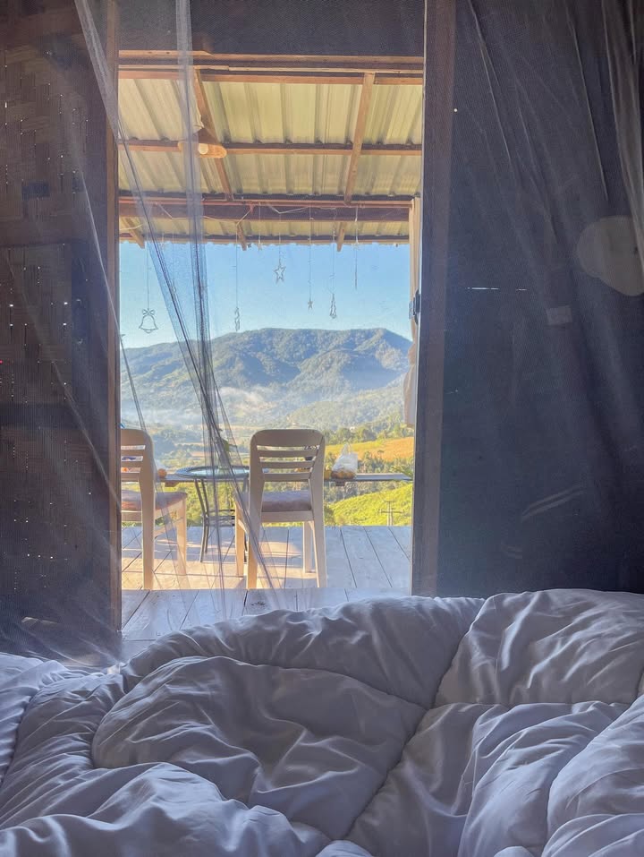 ฮาน่า ลีวิส