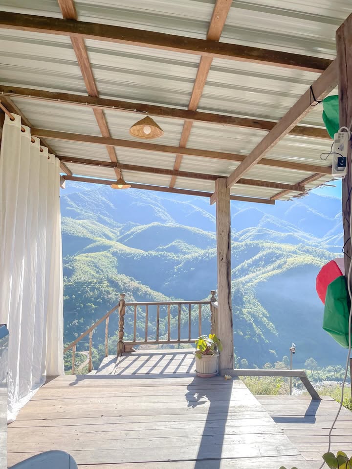 ฮาน่า ลีวิส