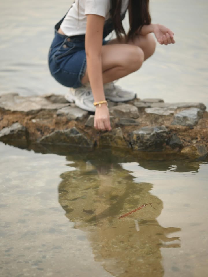 ฮาน่า ลีวิส