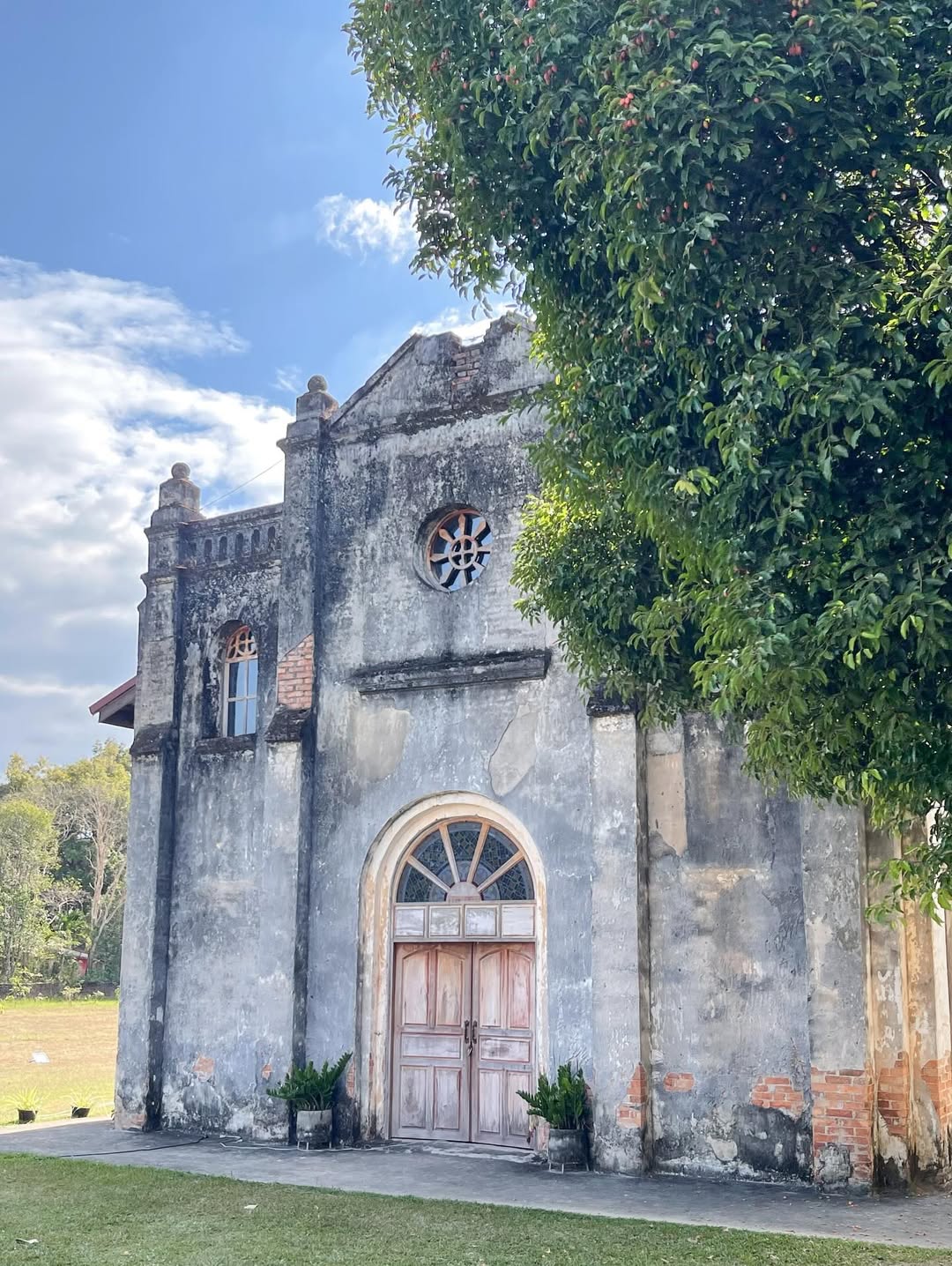 ฮาน่า ลีวิส