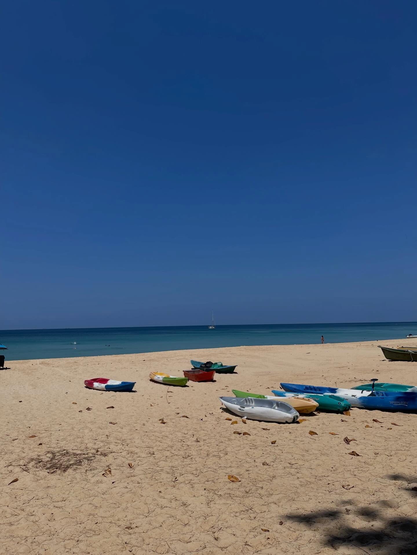 ฮาน่า ลีวิส