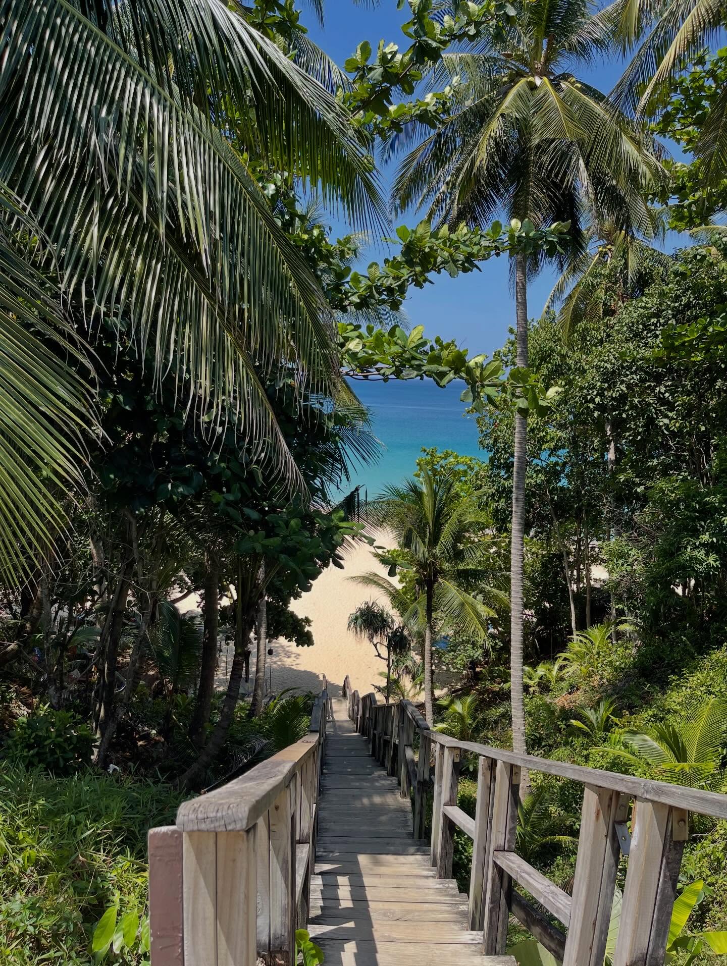 ฮาน่า ลีวิส