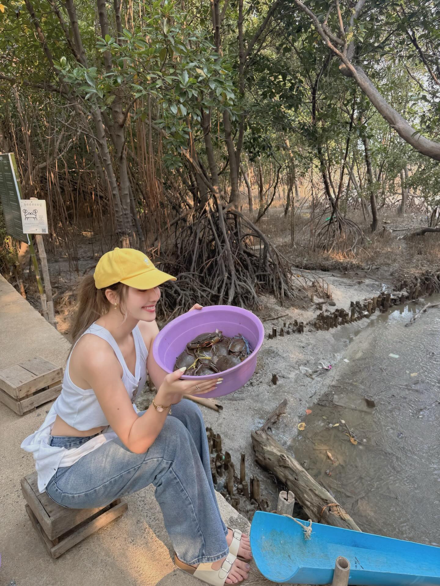 ฮาน่า ลีวิส