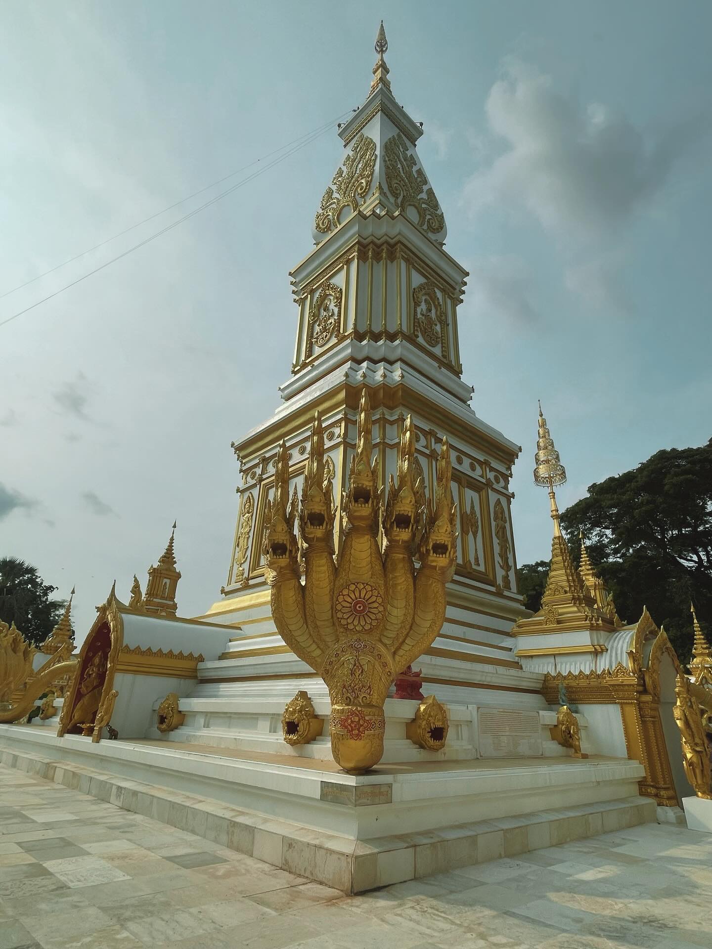 ฮาน่า ลีวิส