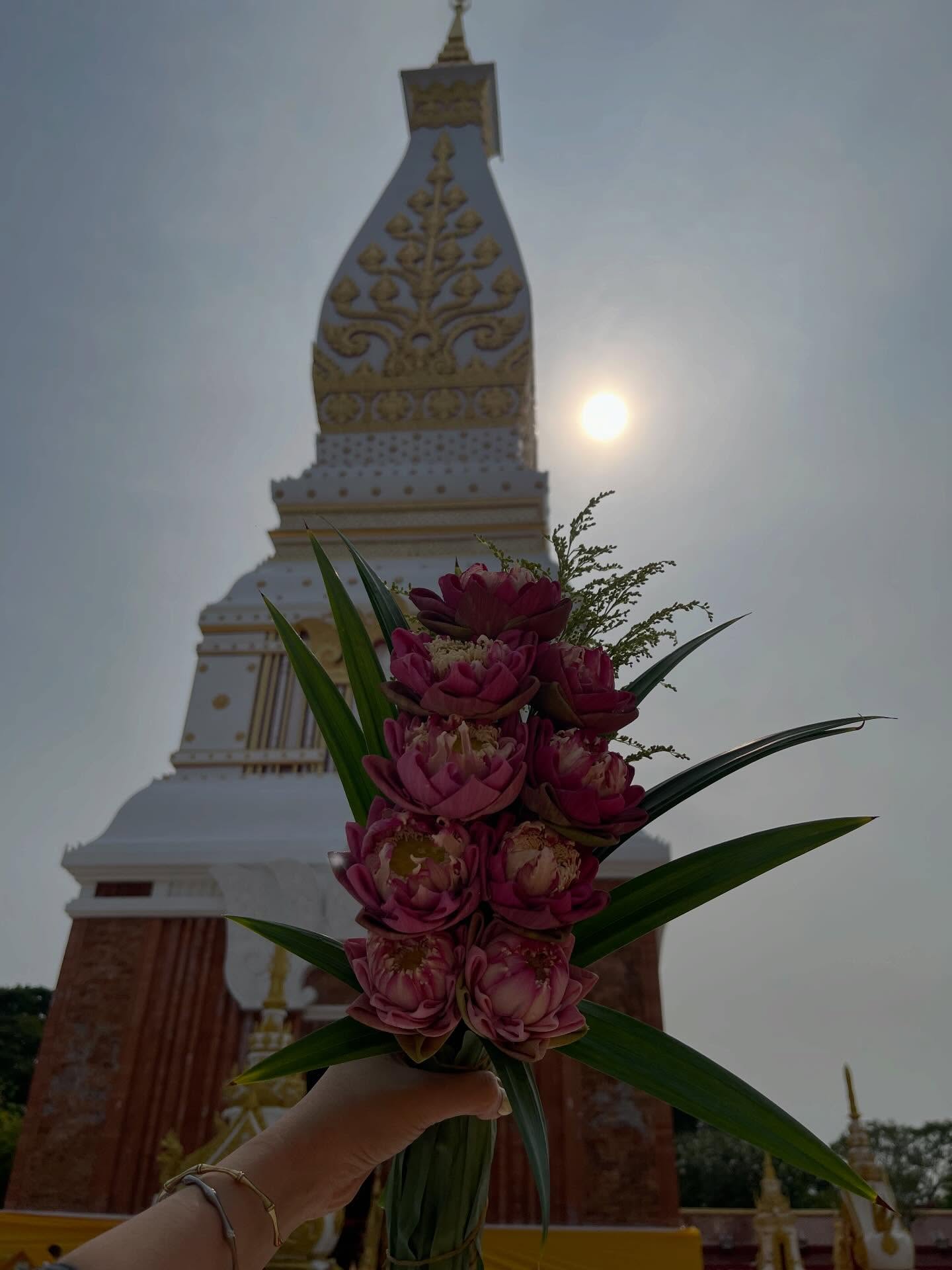 ฮาน่า ลีวิส