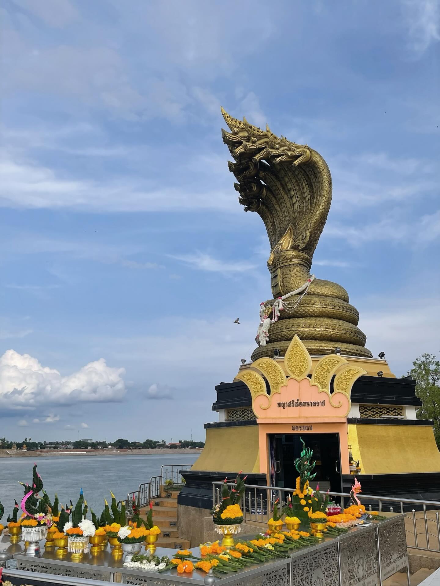 ฮาน่า ลีวิส