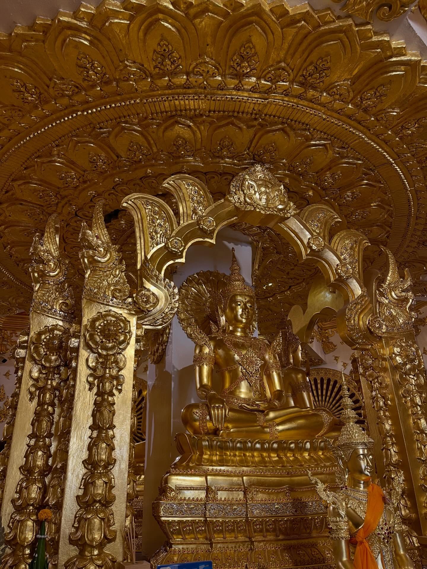 ฮาน่า ลีวิส