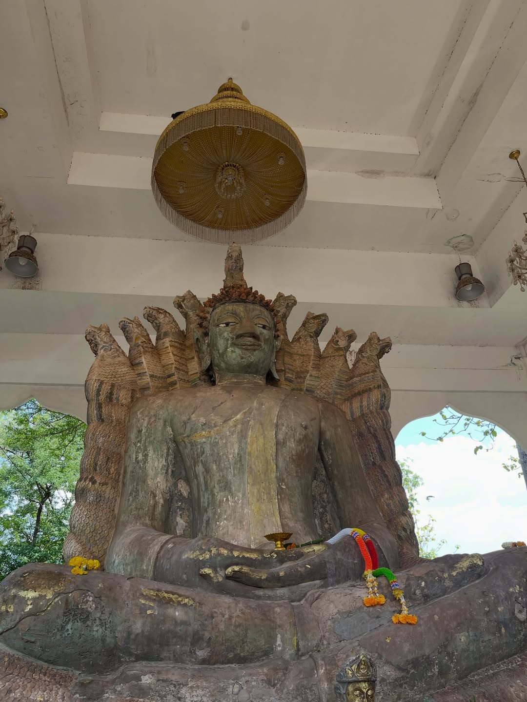 ฮาน่า ลีวิส