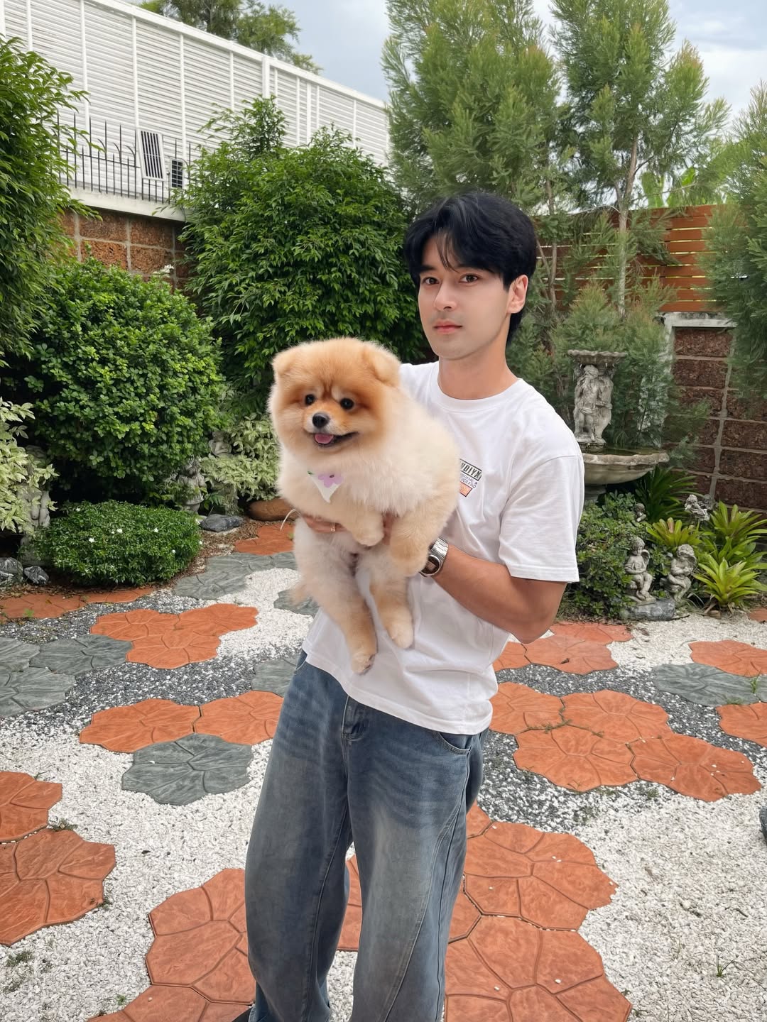 ฮาน่า ลีวิส