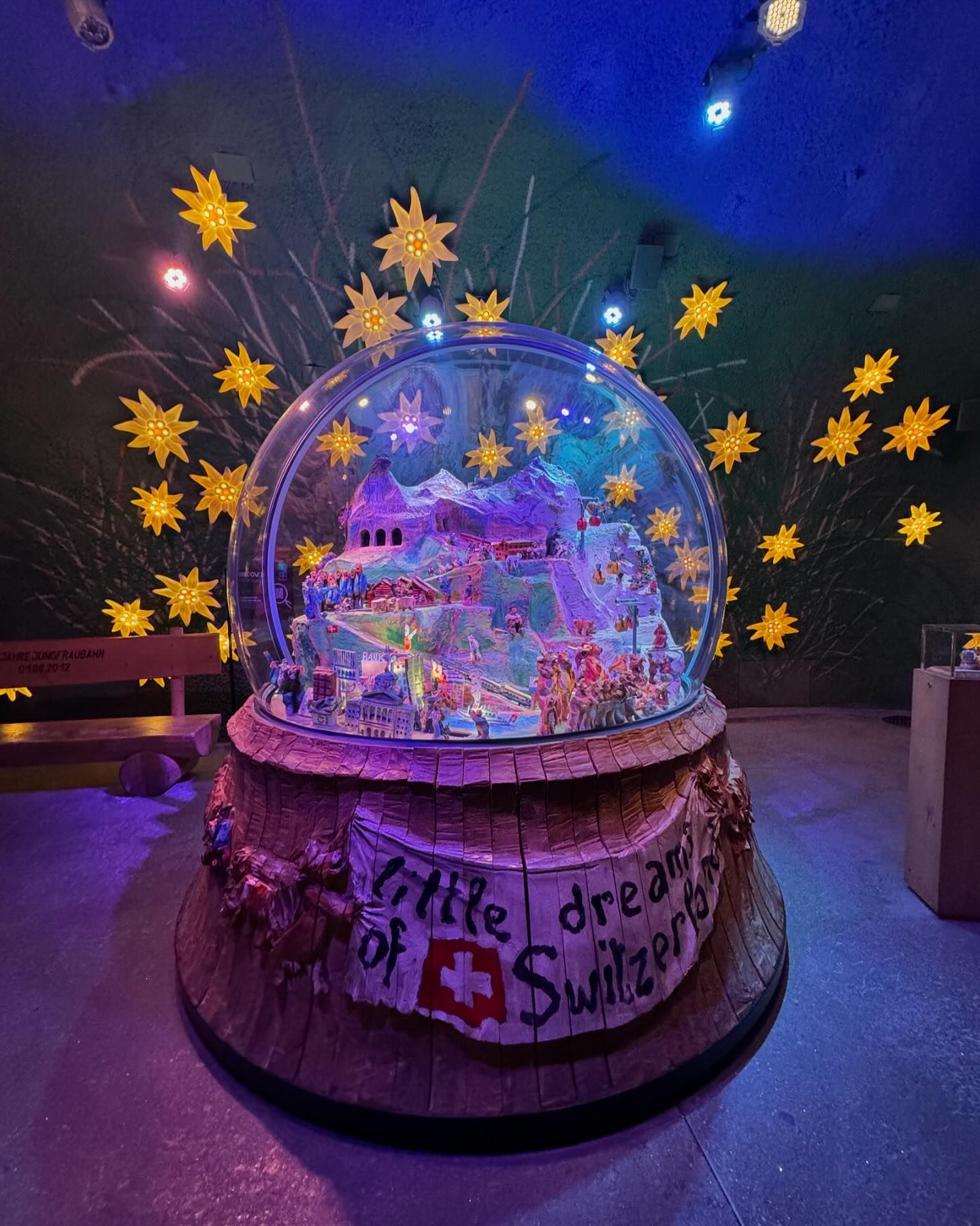 ซานิ - นิภาภรณ์ นิติธนการ