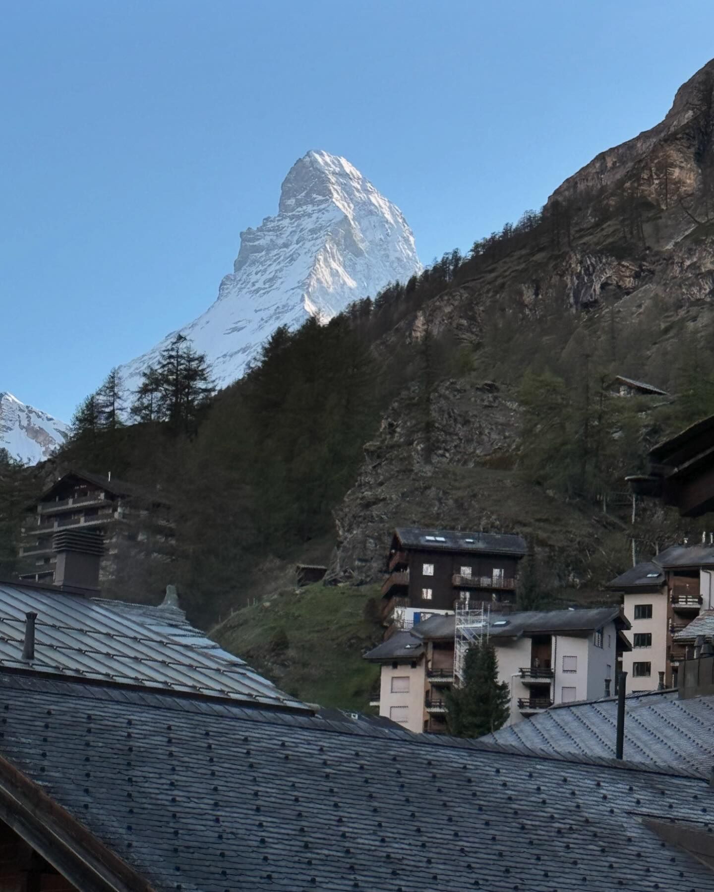 ซานิ - นิภาภรณ์ นิติธนการ