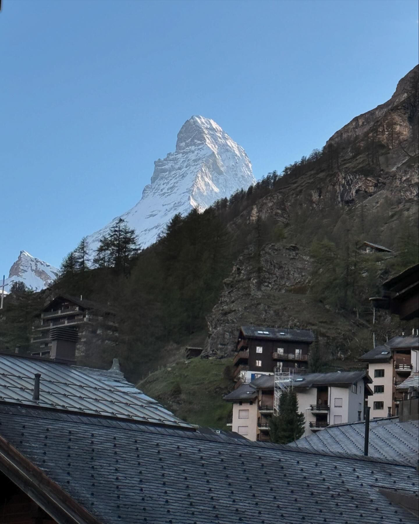 ซานิ - นิภาภรณ์ นิติธนการ