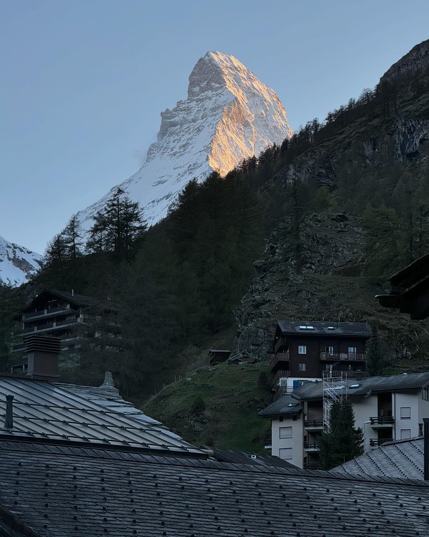 ซานิ - นิภาภรณ์ นิติธนการ