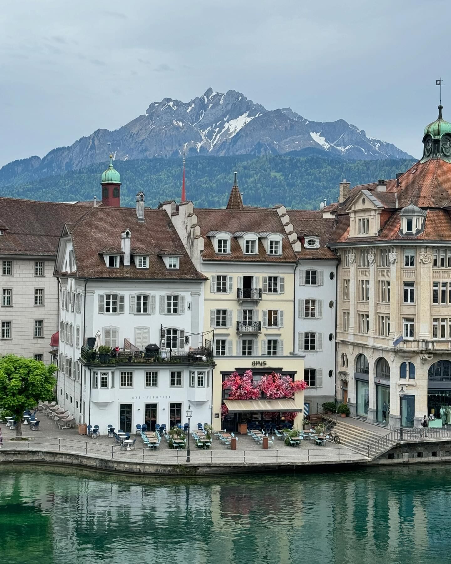 ซานิ - นิภาภรณ์ นิติธนการ