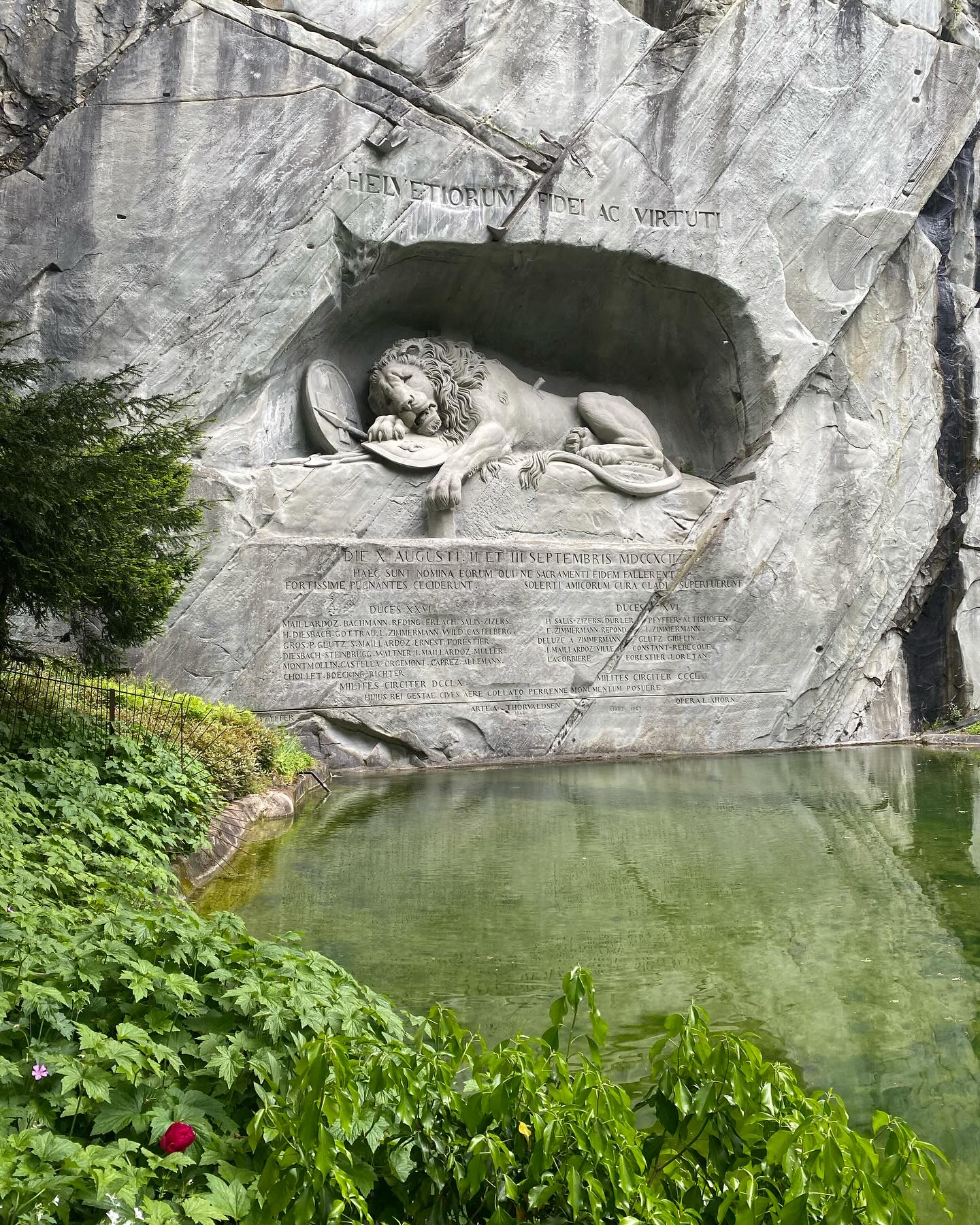 ซานิ - นิภาภรณ์ นิติธนการ