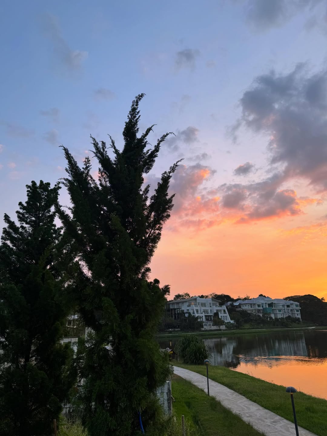 ซานิ - นิภาภรณ์ นิติธนการ