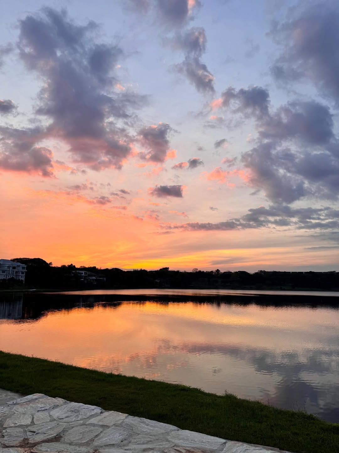 ซานิ - นิภาภรณ์ นิติธนการ