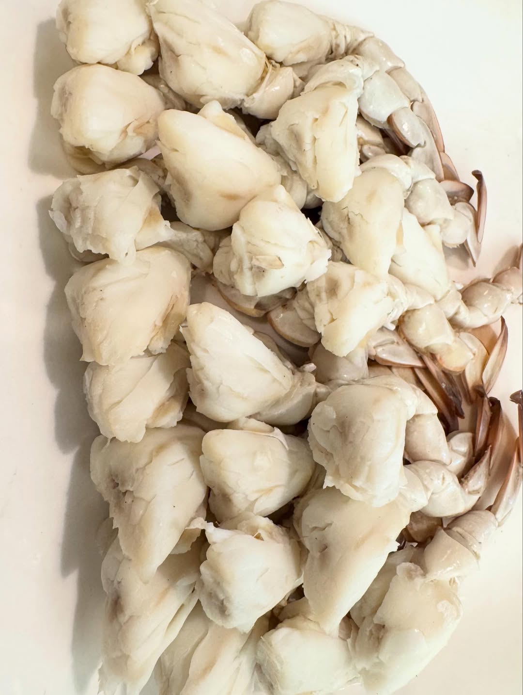 ซานิ - นิภาภรณ์ นิติธนการ