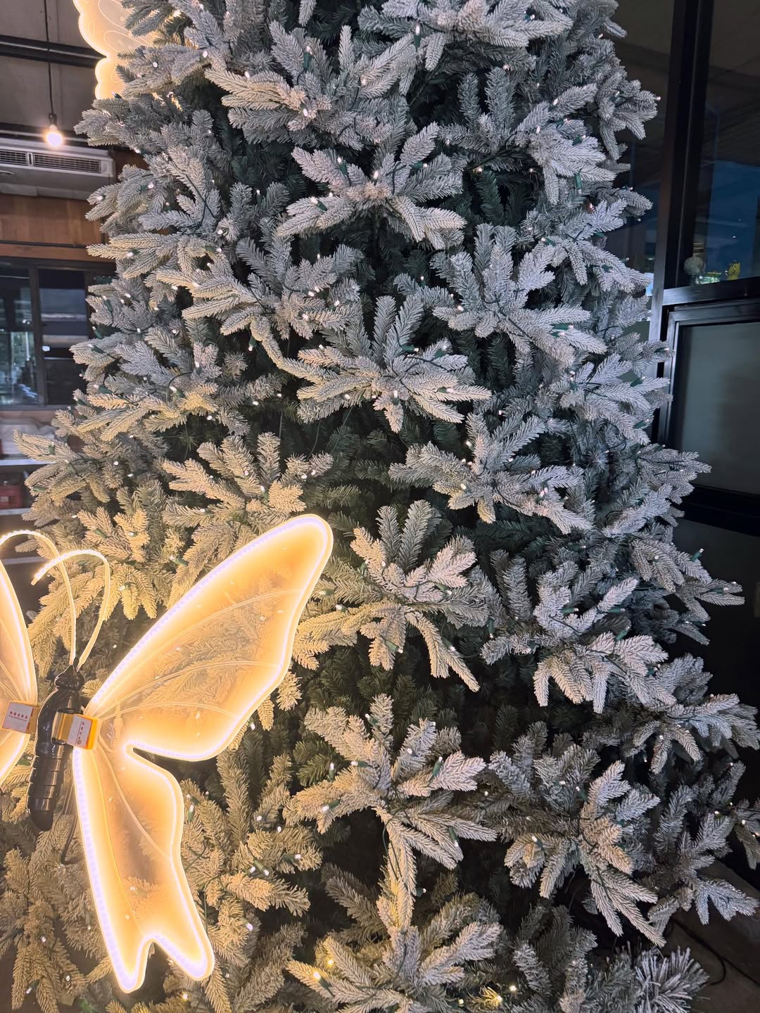 ซานิ - นิภาภรณ์ นิติธนการ