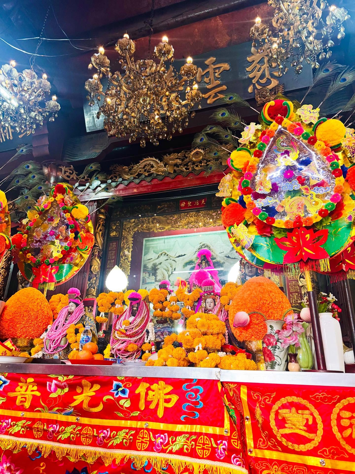 ซานิ - นิภาภรณ์ นิติธนการ