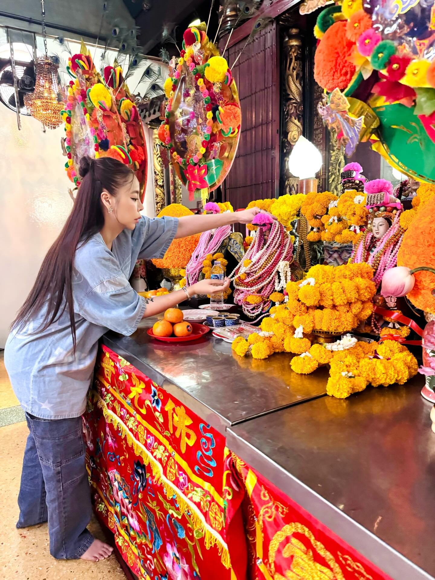 ซานิ - นิภาภรณ์ นิติธนการ