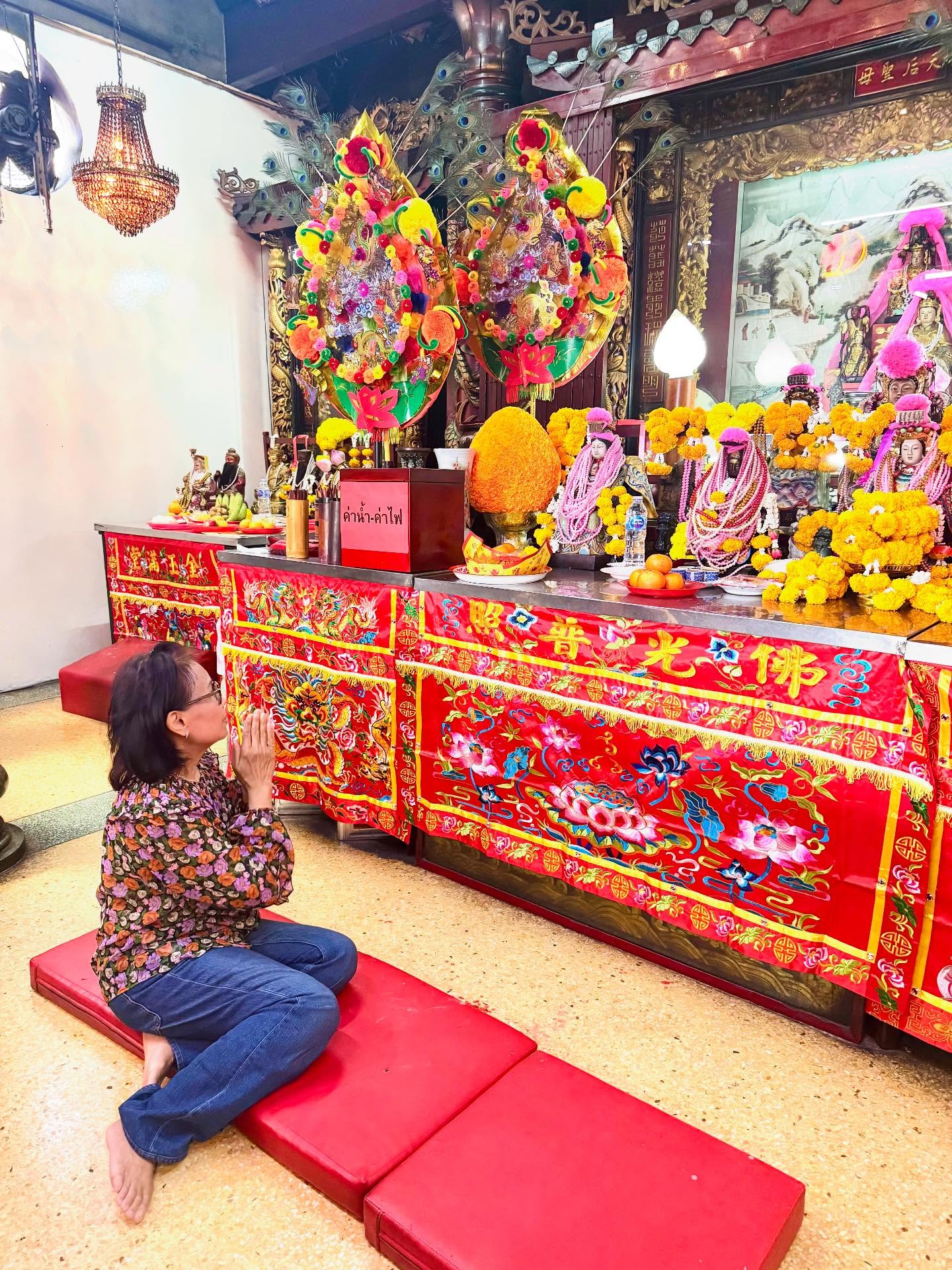 ซานิ - นิภาภรณ์ นิติธนการ