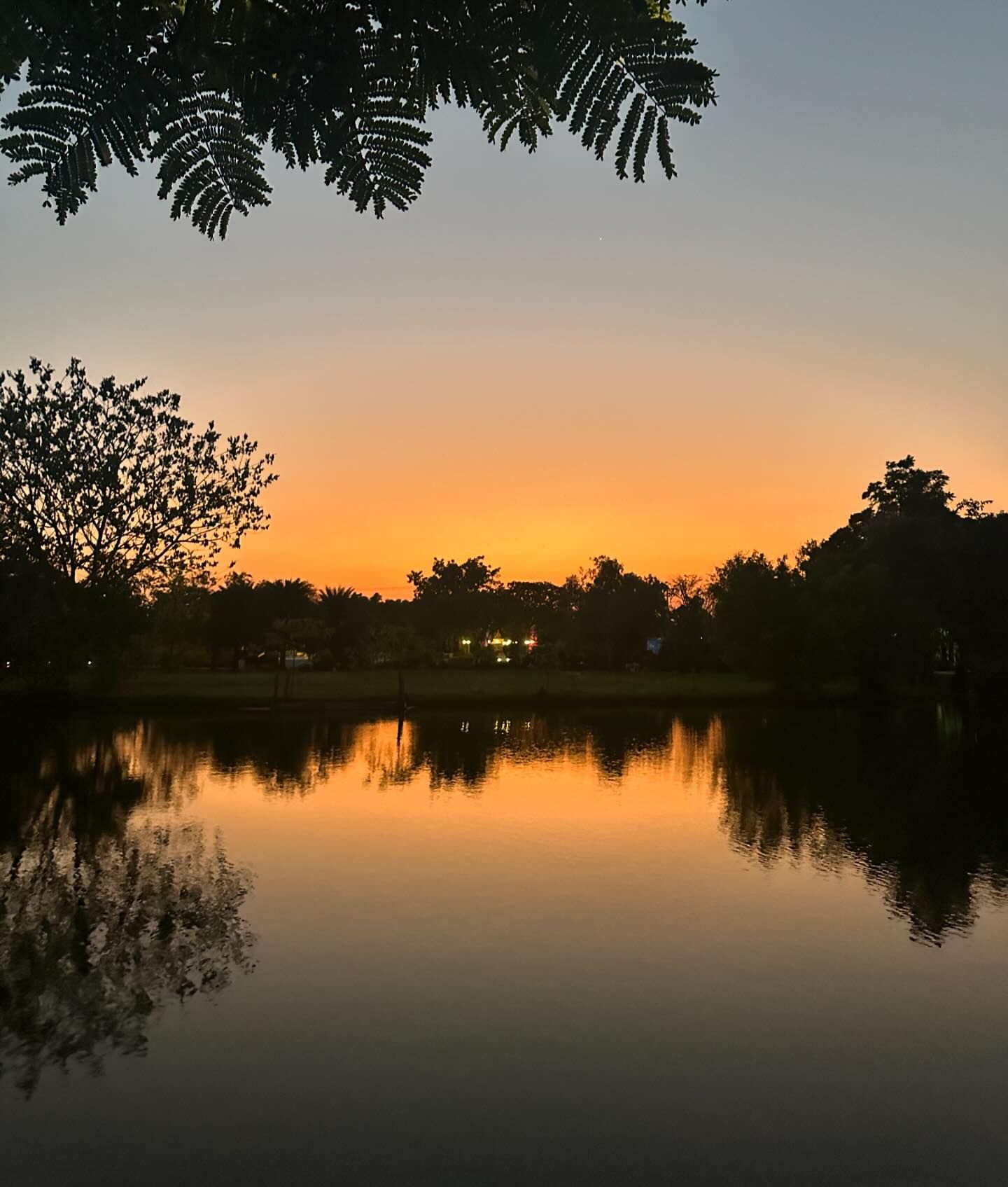 โบว์ - เมลดา สุศรี
