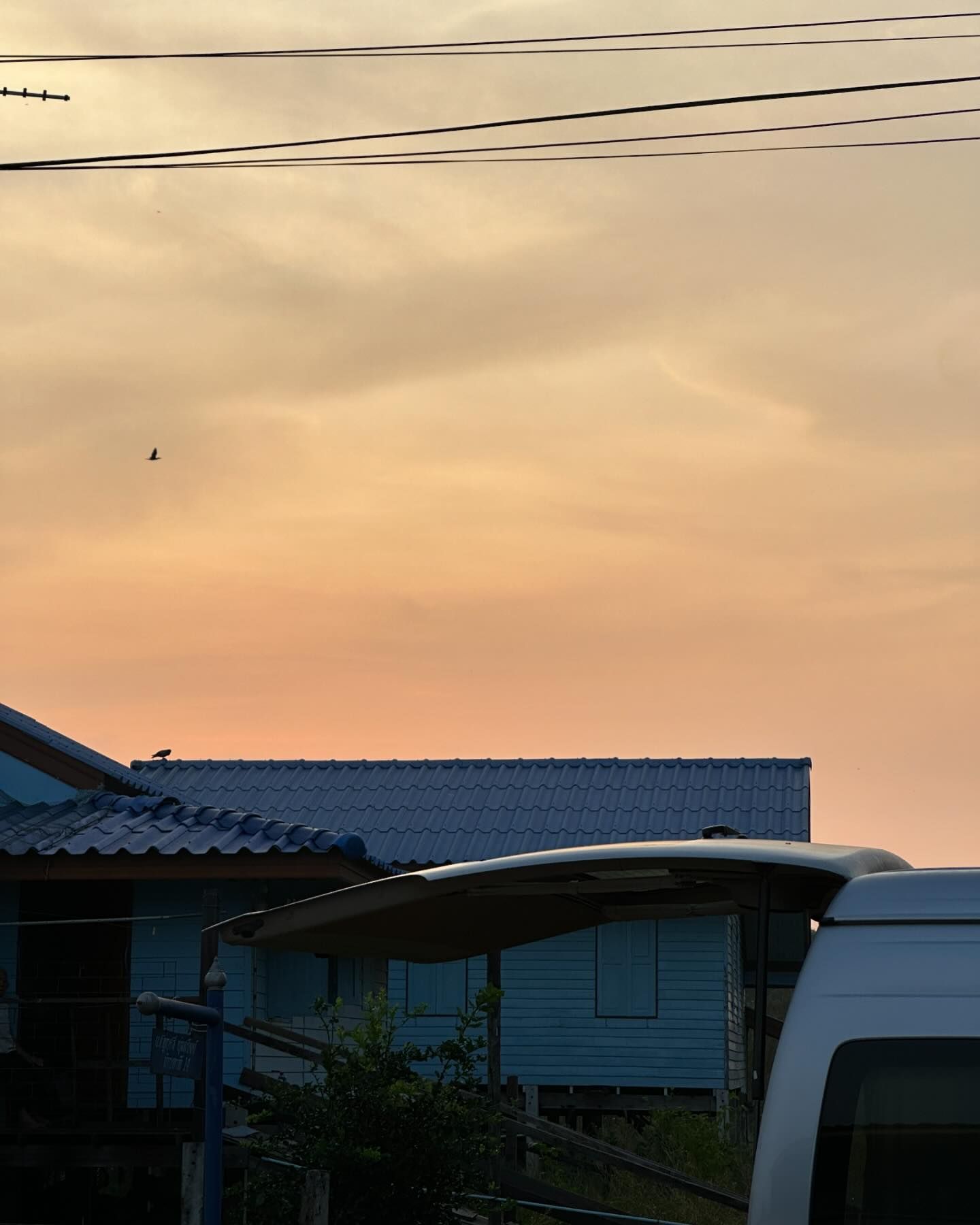 โบว์ - เมลดา สุศรี