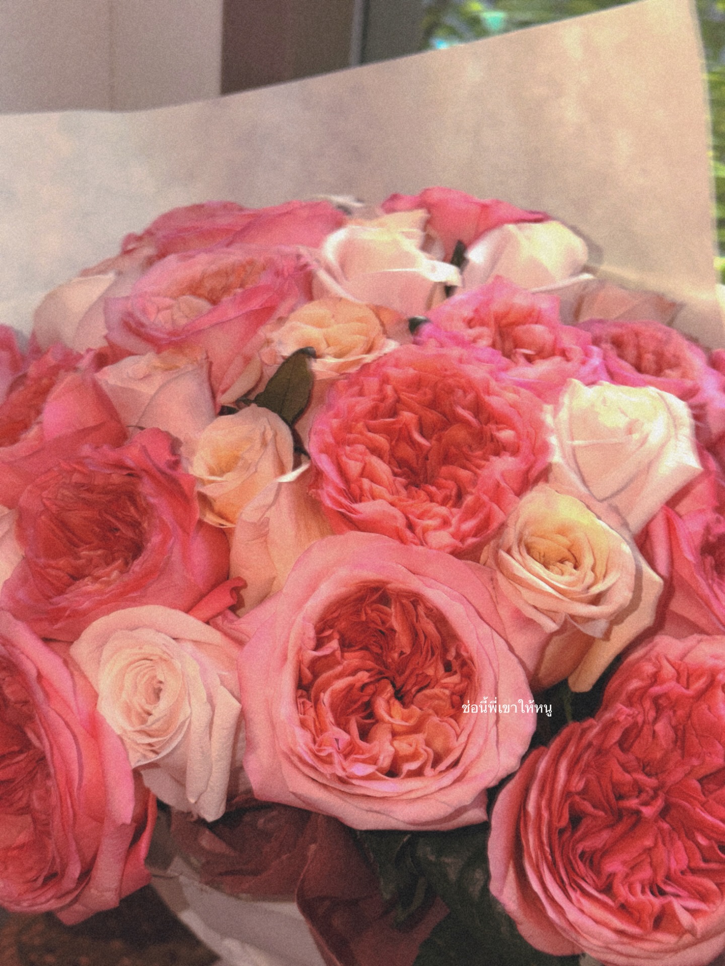 โบว์ - เมลดา สุศรี