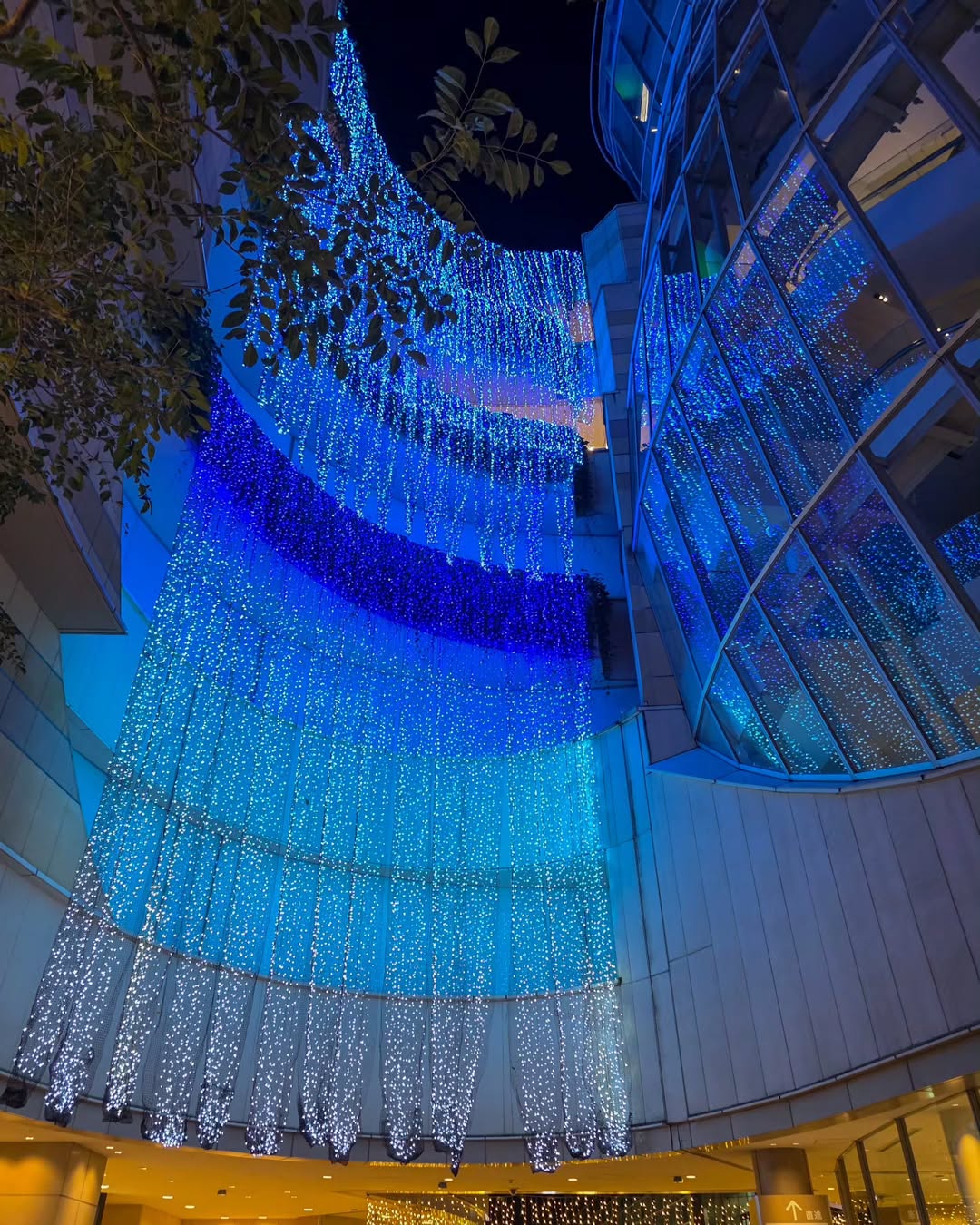 โทโมะ - วิศว ไทยานนท์