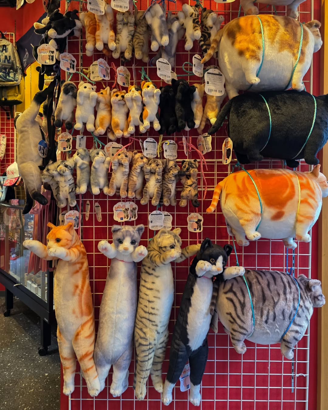 โทโมะ - วิศว ไทยานนท์