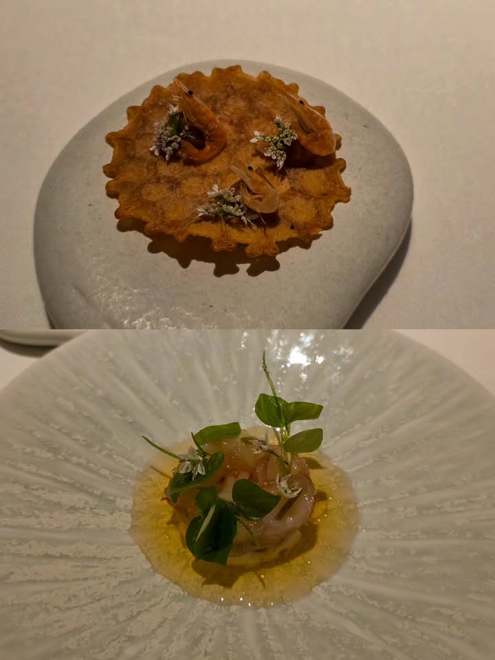 โทโมะ - วิศว ไทยานนท์