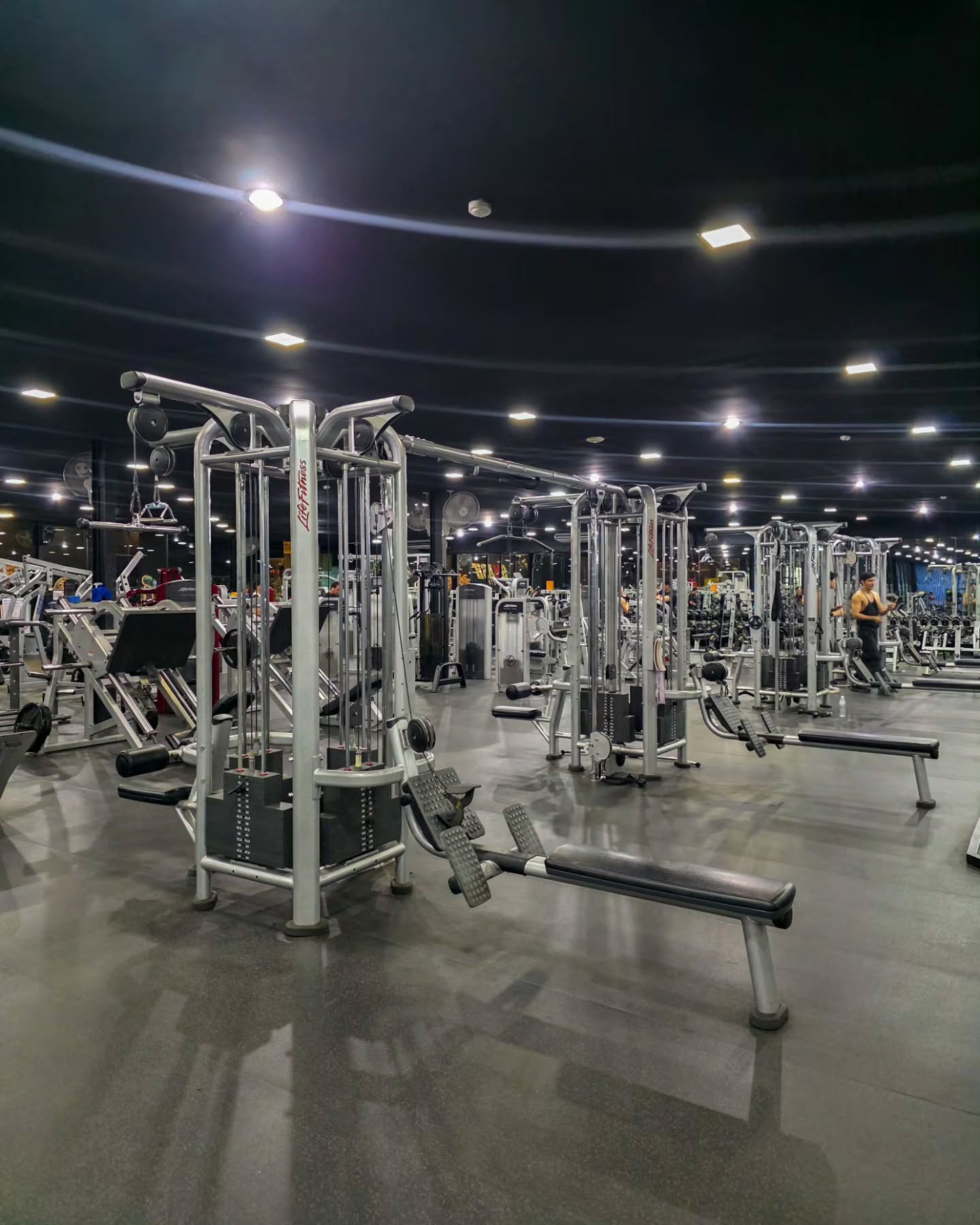 โทโมะ - วิศว ไทยานนท์