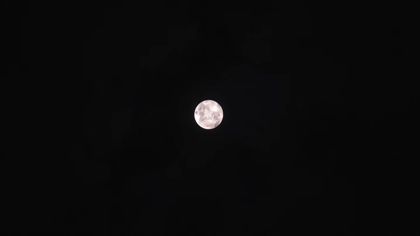 โทโมะ - วิศว ไทยานนท์