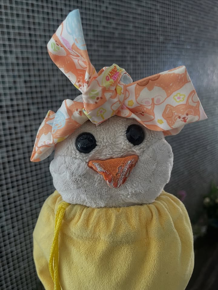 ชยา - ชญานิศ ต.เจริญ