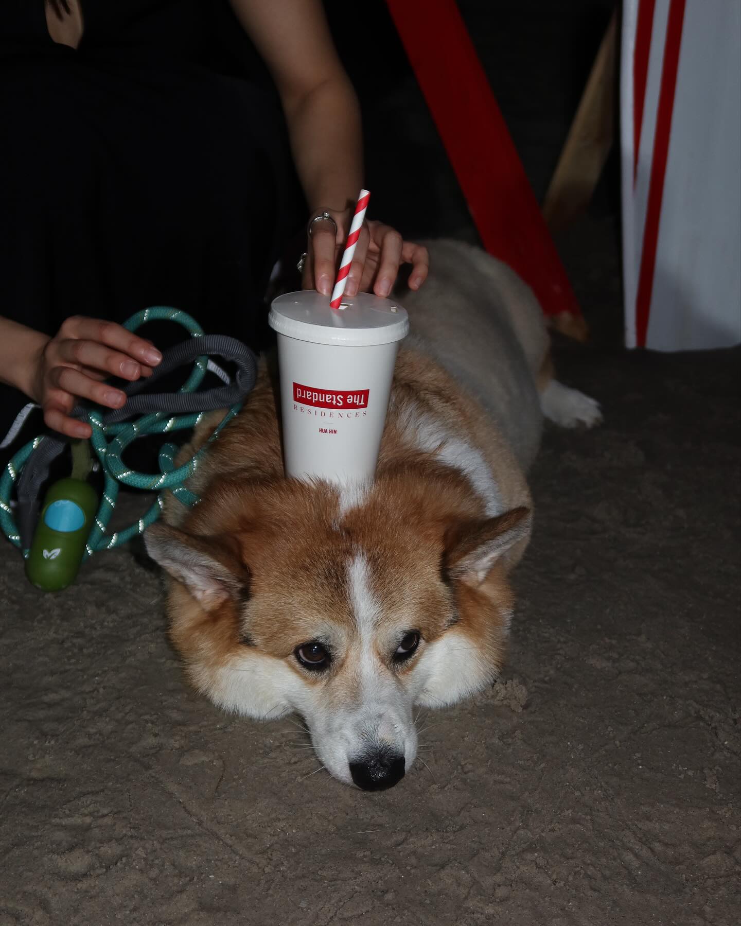 เบลล์ - เขมิศรา พลเดช