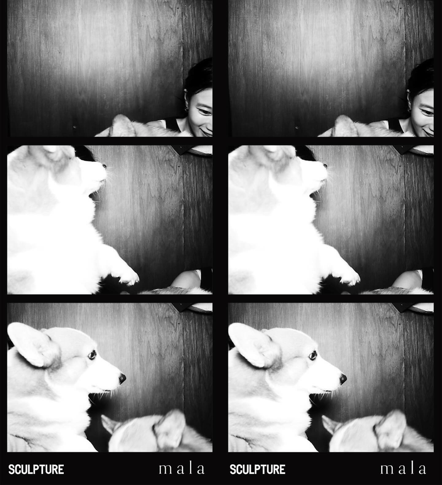 เบลล์ - เขมิศรา พลเดช