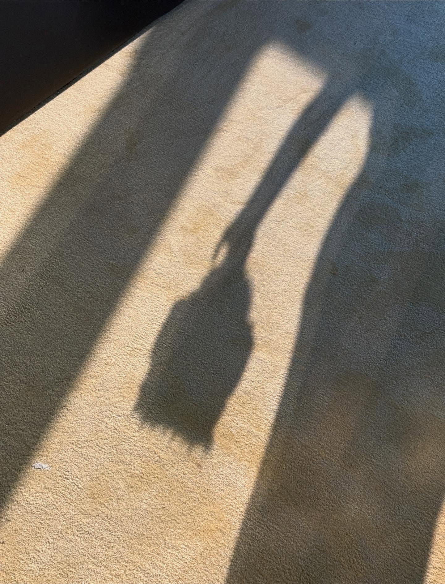 เบลล์ - เขมิศรา พลเดช