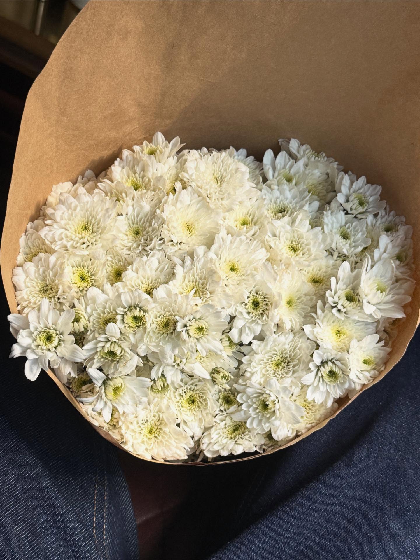 เบลล์ - เขมิศรา พลเดช