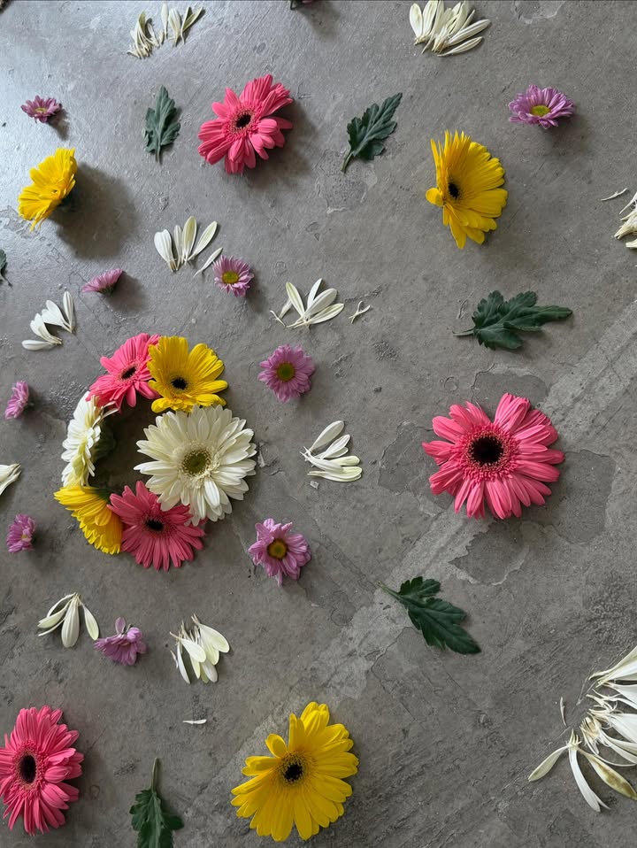 เบลล์ - เขมิศรา พลเดช