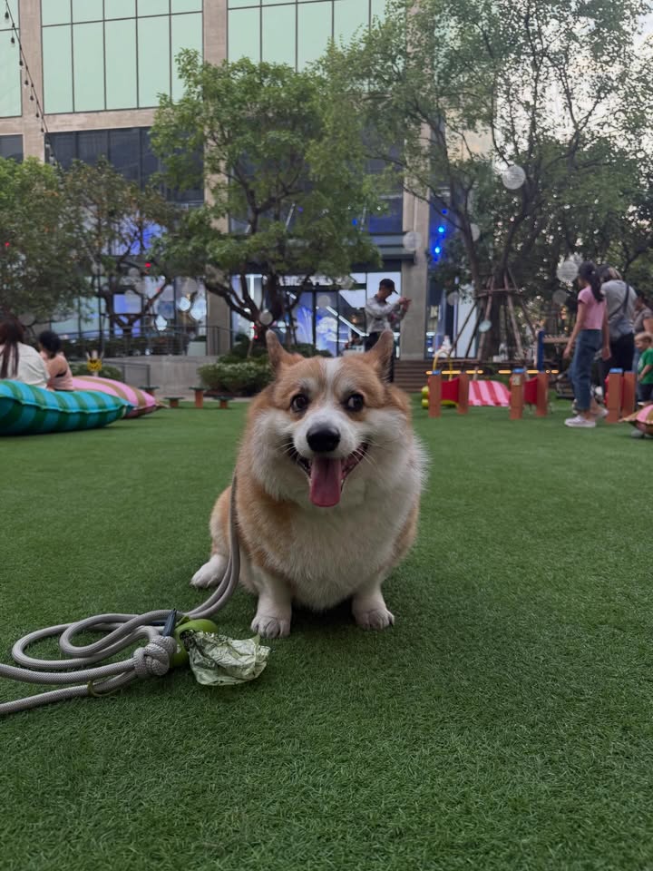 เบลล์ - เขมิศรา พลเดช