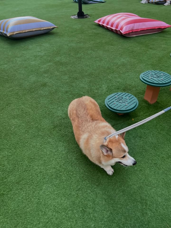 เบลล์ - เขมิศรา พลเดช