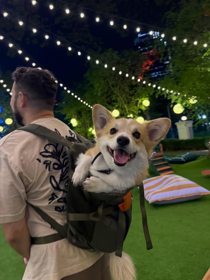 เบลล์ - เขมิศรา พลเดช